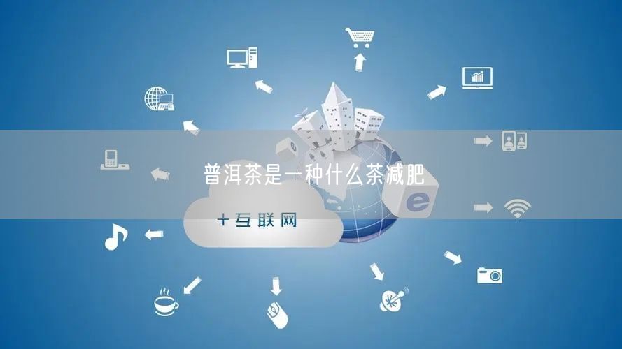 普洱茶是一种什么茶减肥