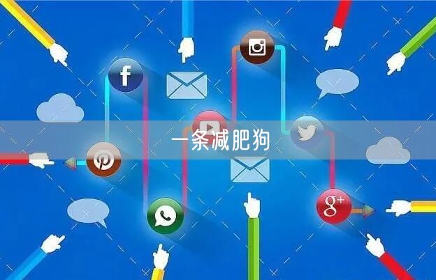 一条减肥狗