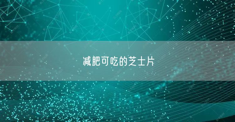 减肥可吃的芝士片