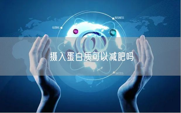 摄入蛋白质可以减肥吗