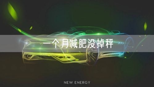 一个月减肥没掉秤